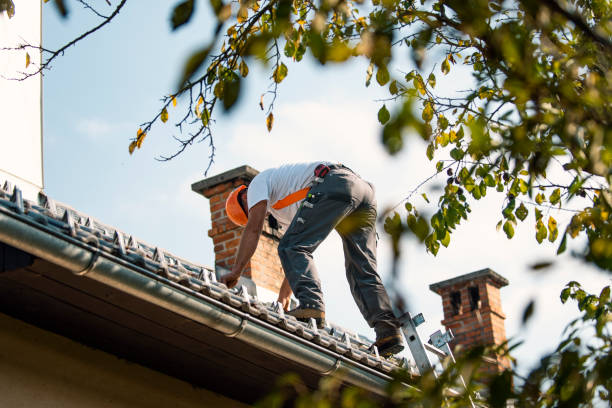 Best Roof Leak Repair  in Colwyn, PA