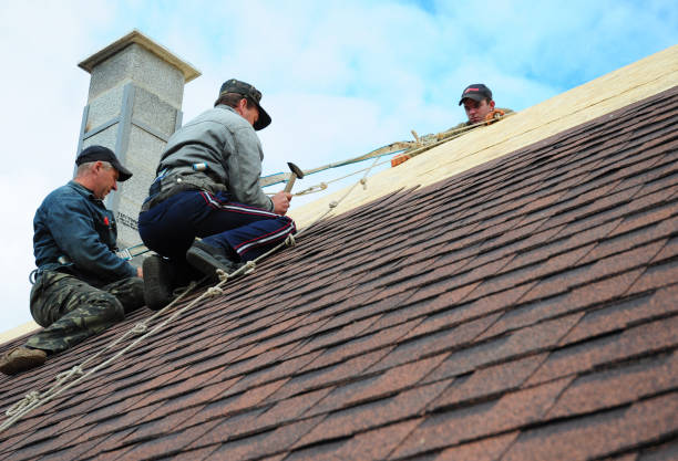 Best Storm Damage Roof Repair  in Colwyn, PA