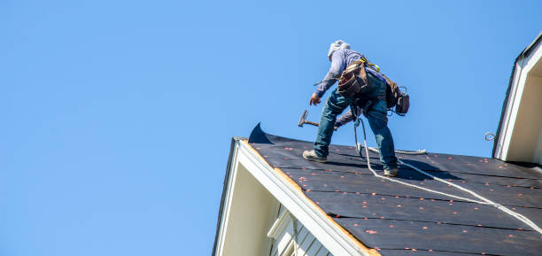Best Storm Damage Roof Repair  in Colwyn, PA